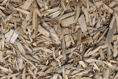 biomass boilers Frenchwood